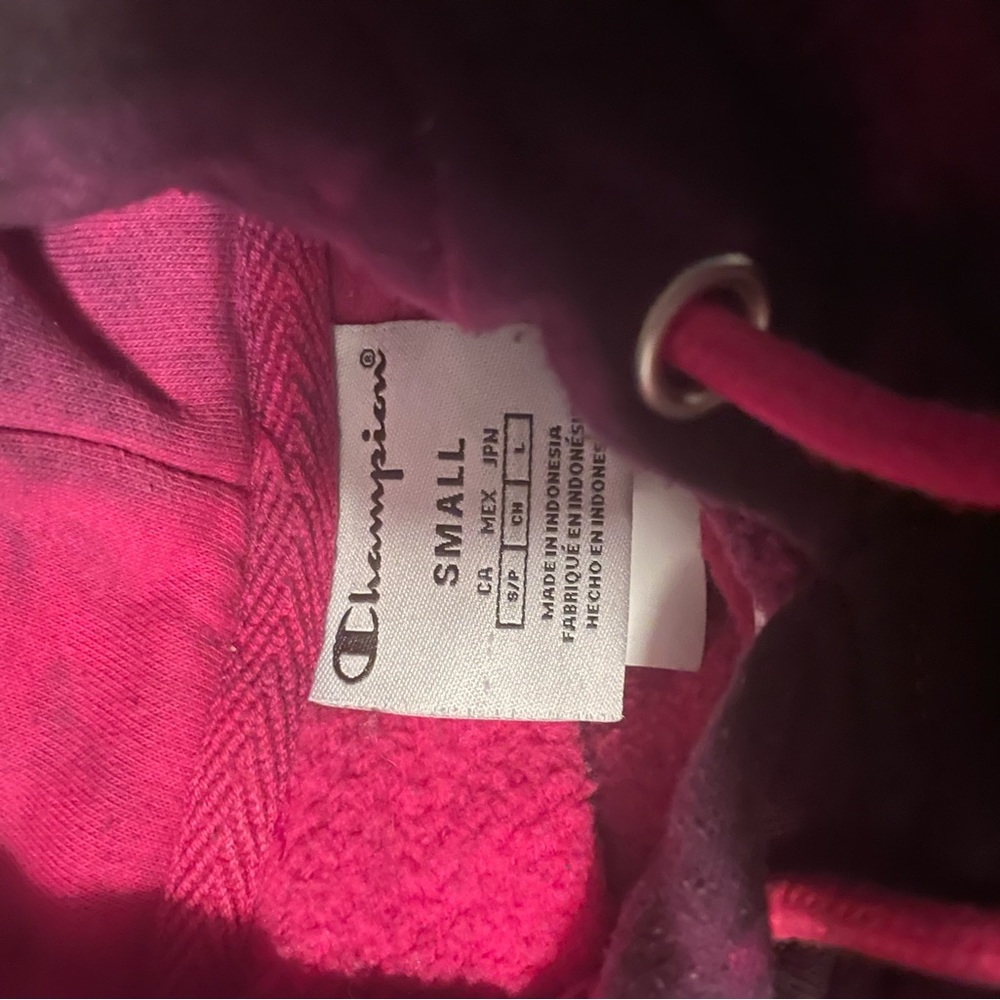 champion hoodie - Picture 3 of 3